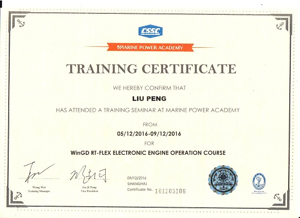 ME overhaul service trainning certificate